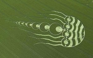 El fenómeno de los círculos en las cosechas también conocidos como Crop Circles, 1