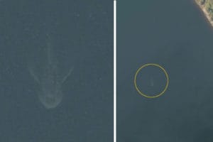 Noticia: La nueva aparición de "Nessie" es en realidad... un barco 1