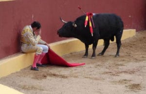 Torero arrepentido