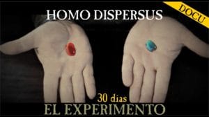 Homo Dispersus, El experimento 2
